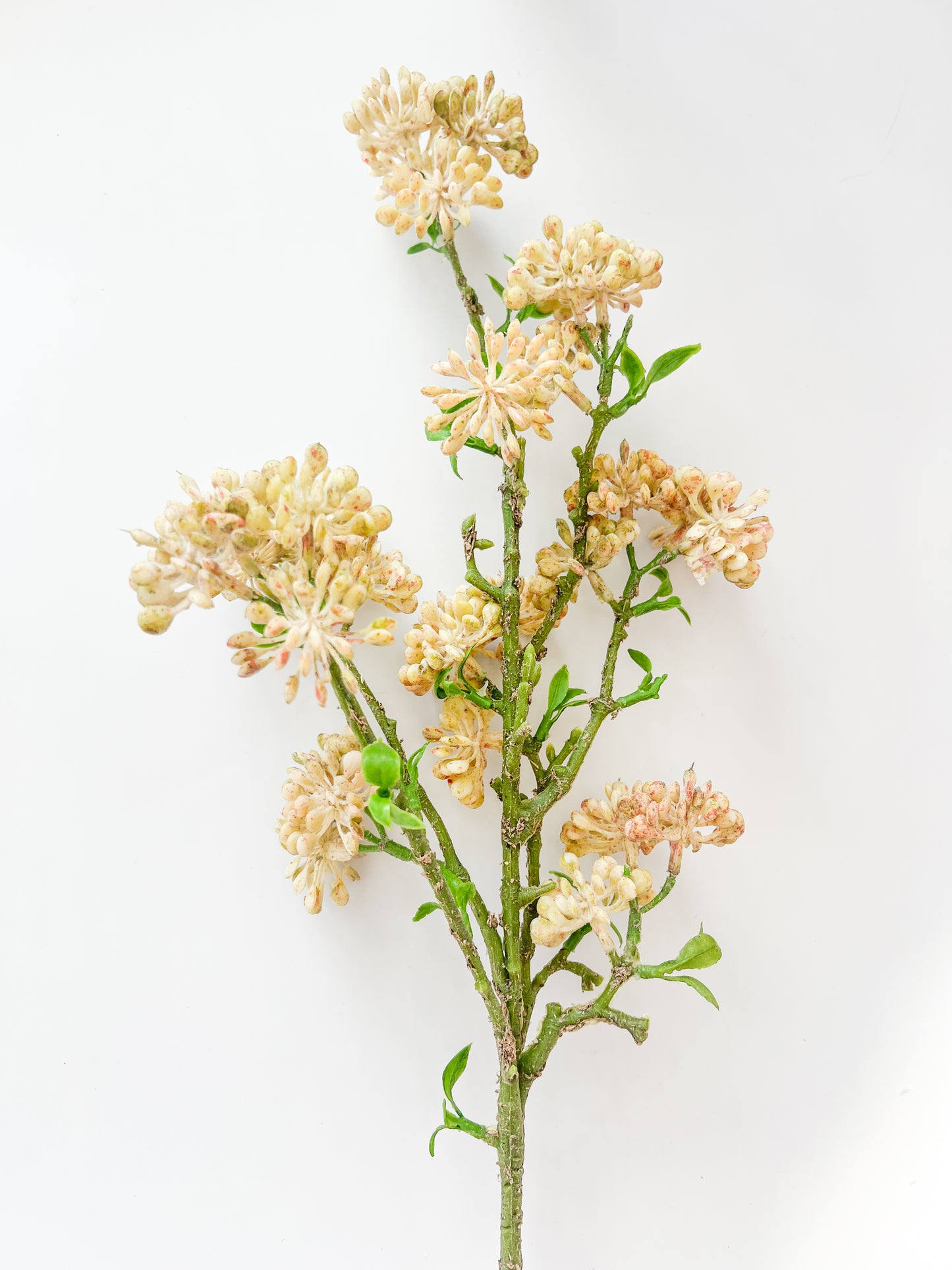 Snowball Bud Spray - 30"