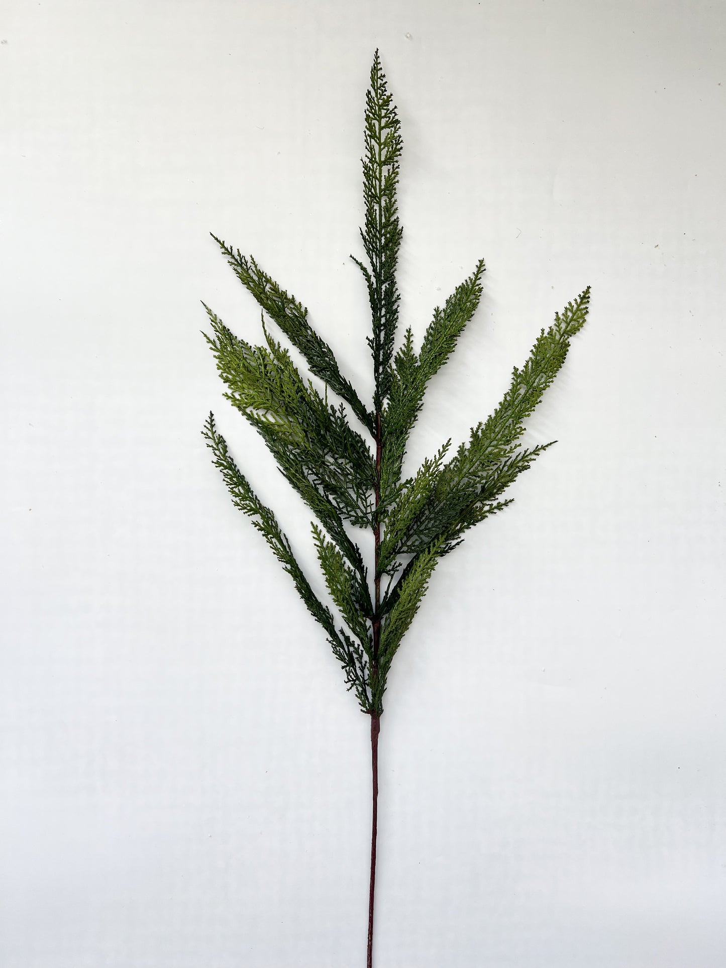 Cedar Spray - 40"