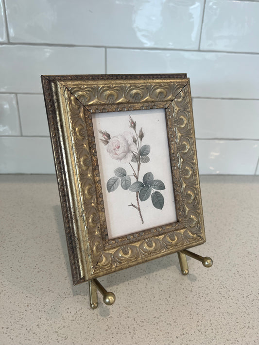 White Rose Framed Art