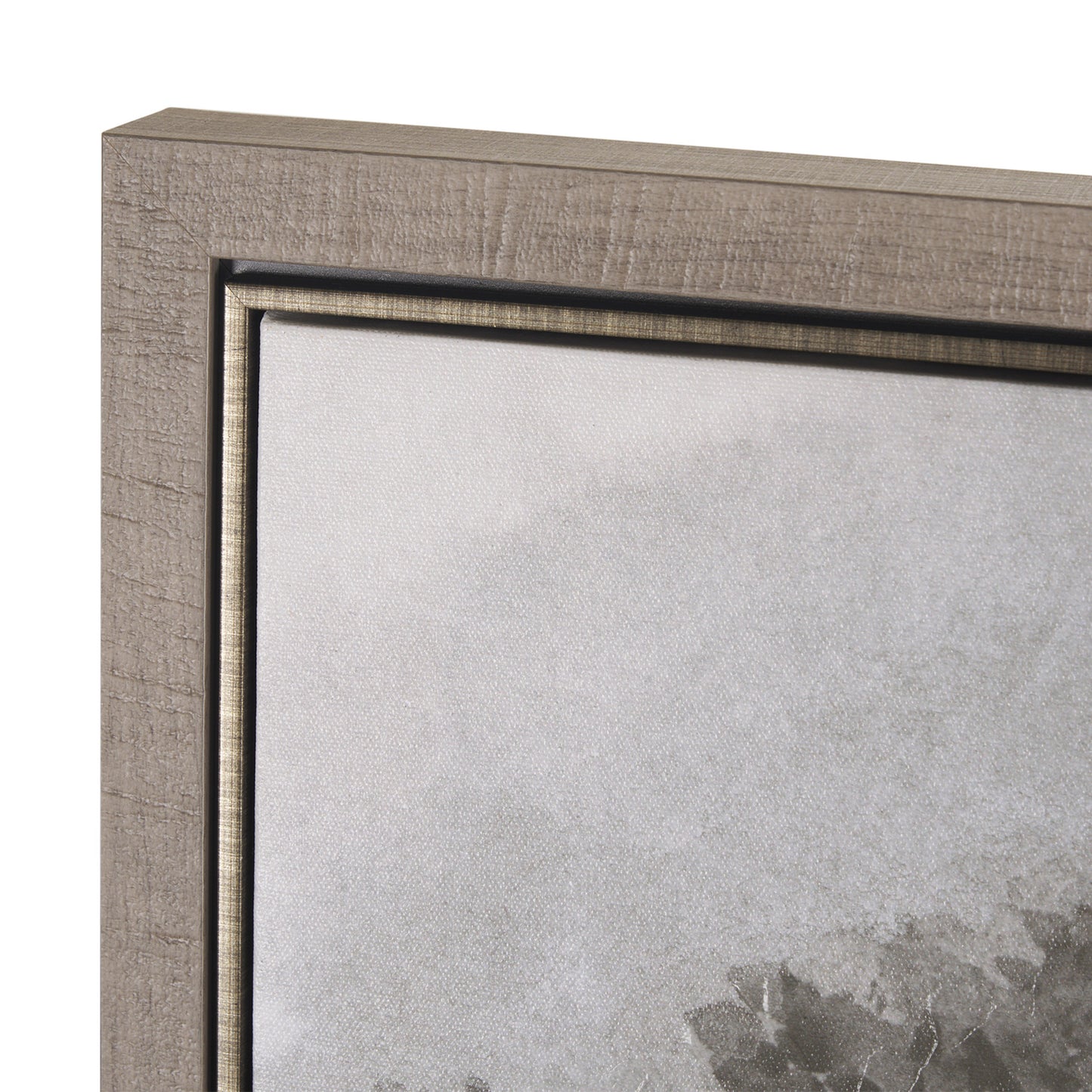 Forrest Morning - Two styles available