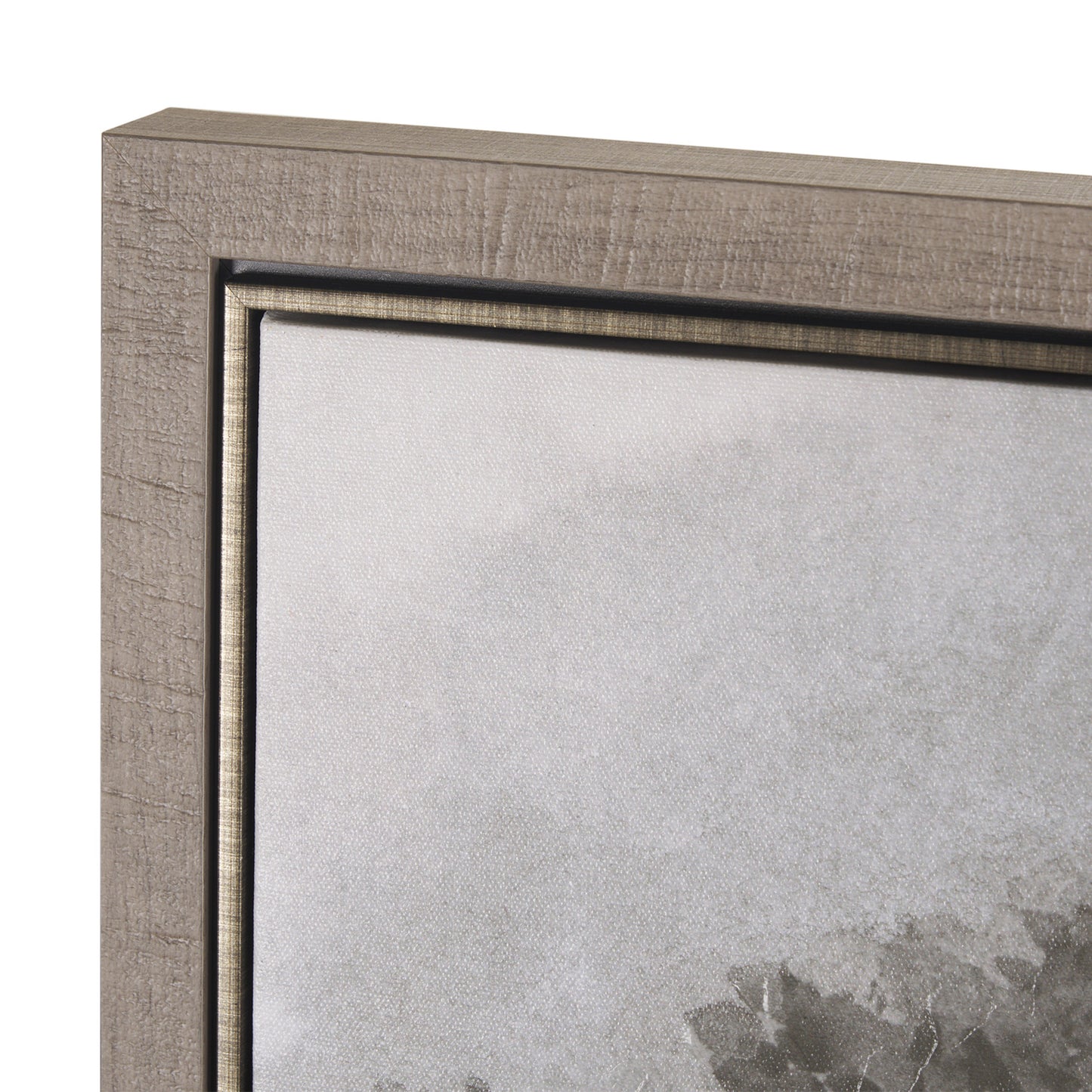 Forrest Morning - Two styles available
