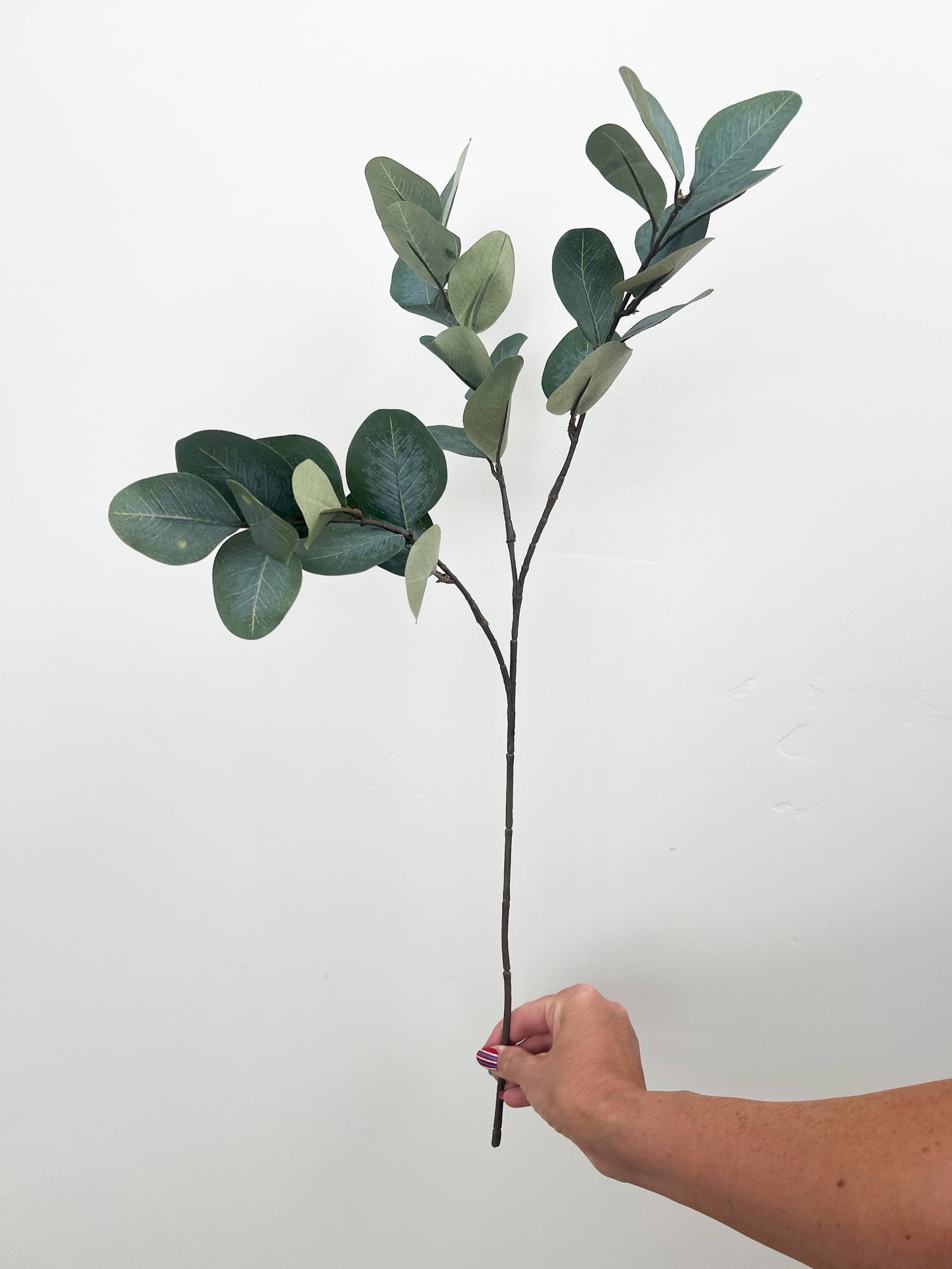 Eucalyptus Spray - 27"