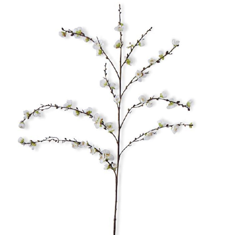 White Cherry Blossom Stem