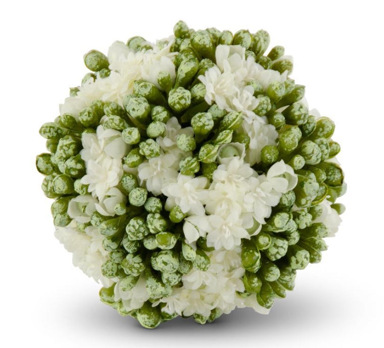 White Kalanchoe Ball 4"