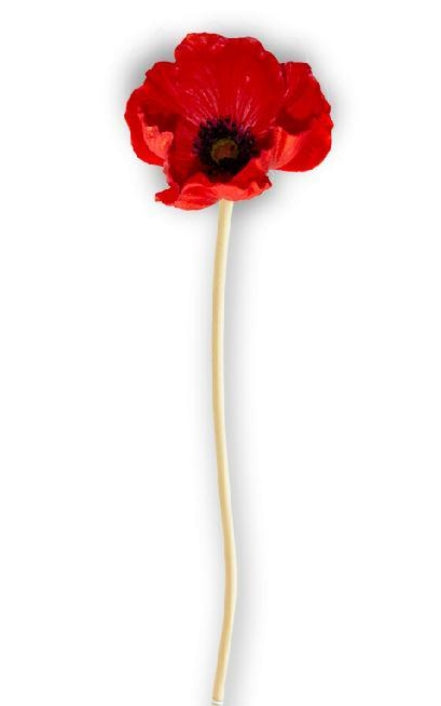 Red Real Touch Poppy Stem