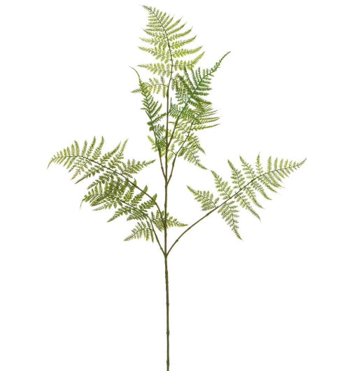 Asparagus Fern Spray - 34"