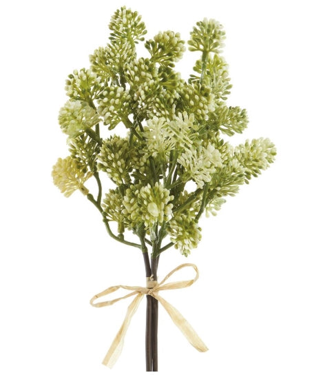 Soft Sedum Bundle - 11"