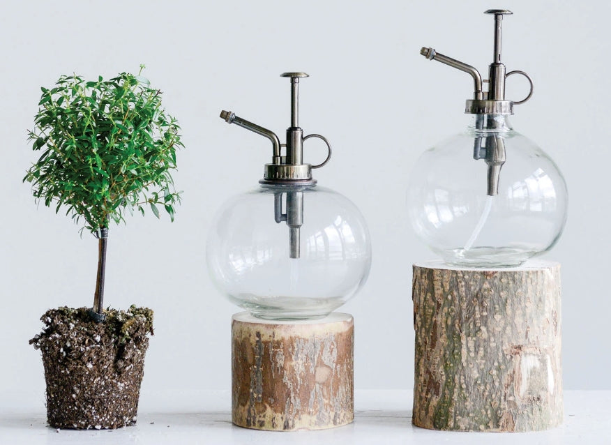 Glass Plant Mister
