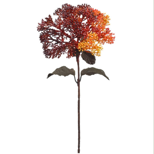 Skimmia Pick - 12.5"