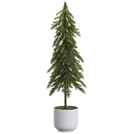 Pine Tree in a Pot - 23"