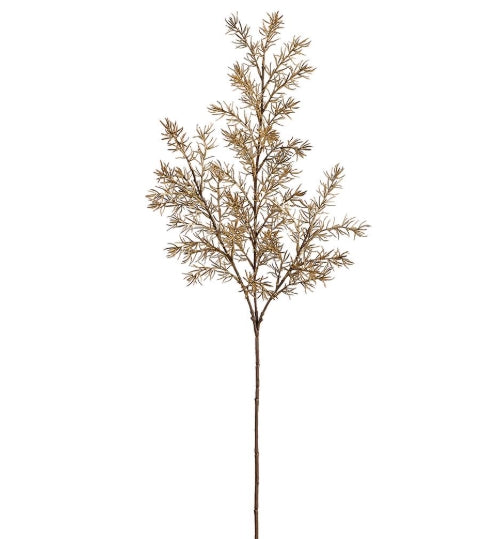 Beige Asparagus Fern Spray - 34"