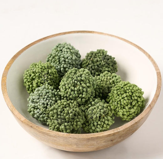 Sedum Orb - Set of 4