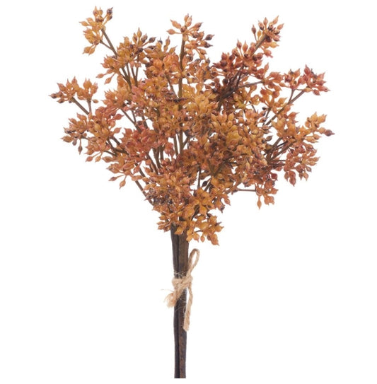 Sedum Bundle - 12" - 2 Colors