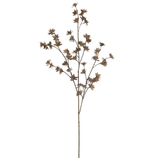 Dark Brown Flowering Pod Spray - 41"
