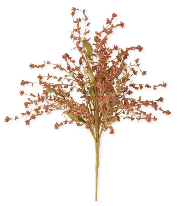 Orange Rust Seed Berry Bush - 21"
