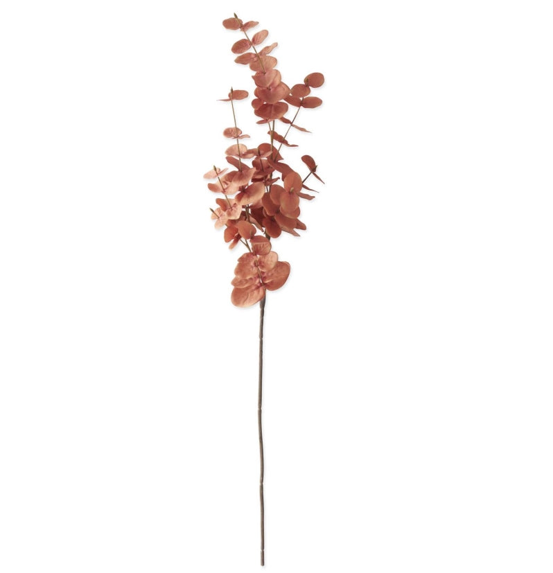 Orange Eucalyptus Stem - 35"