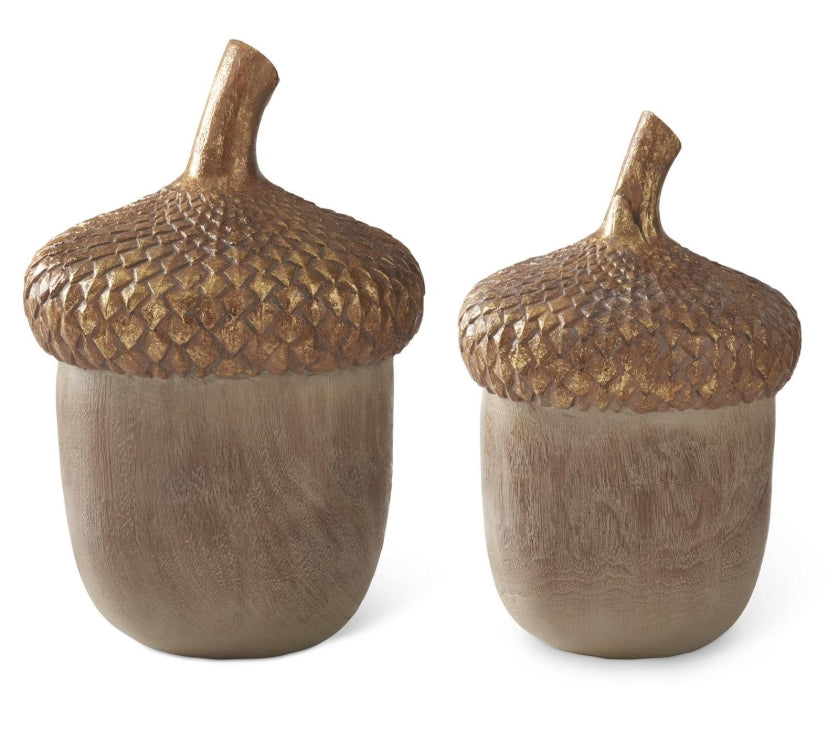 Gold Topped Acorn - 2 Sizes