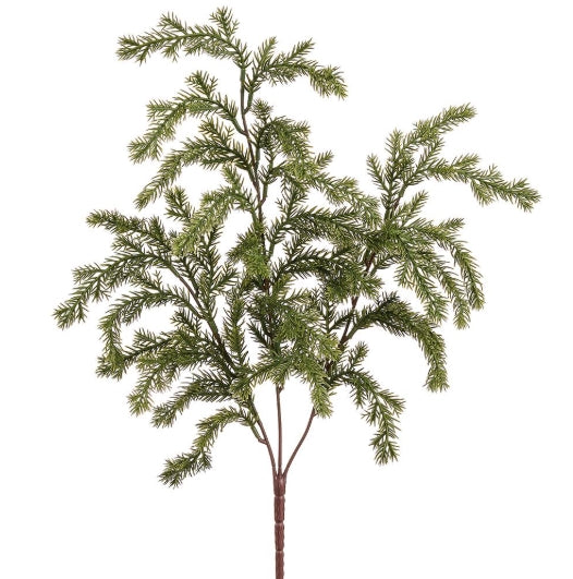 Pine Bush - 21"