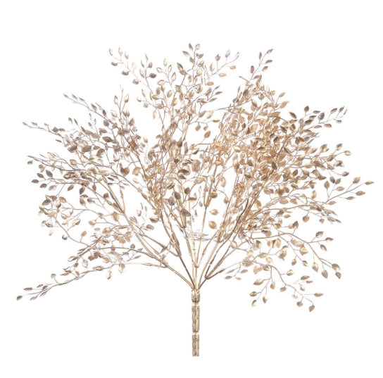 Gold Mini Boxwood Bush - 16"