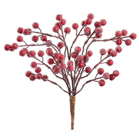 Iced Red Rosehip Bush - 14"