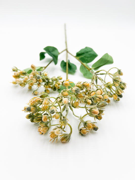 Hypericum Berry Stem in Yellow- 31"