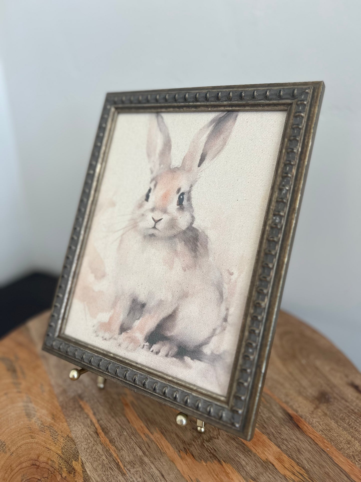 Vintage Bunny Canvas Art