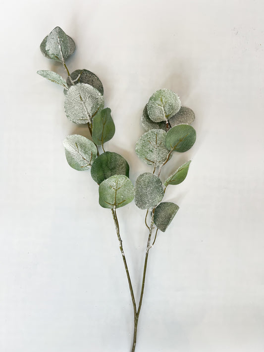 Snowed Silver Dollar Spray