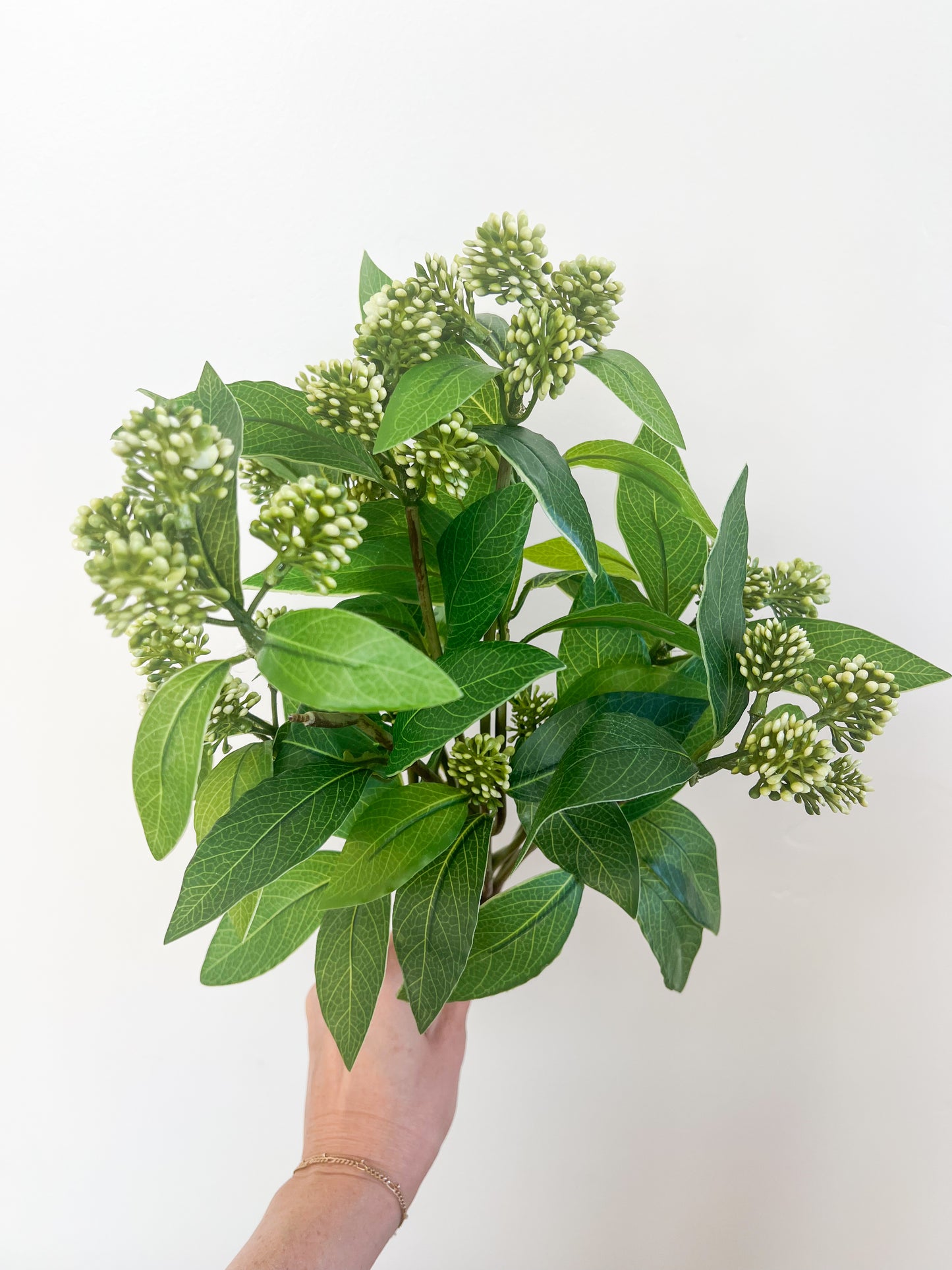 Soft Sedum Bush - 16"