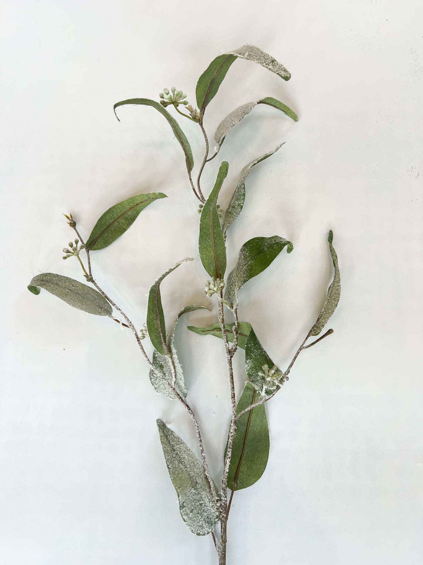 Seeded Eucalyptus Spray