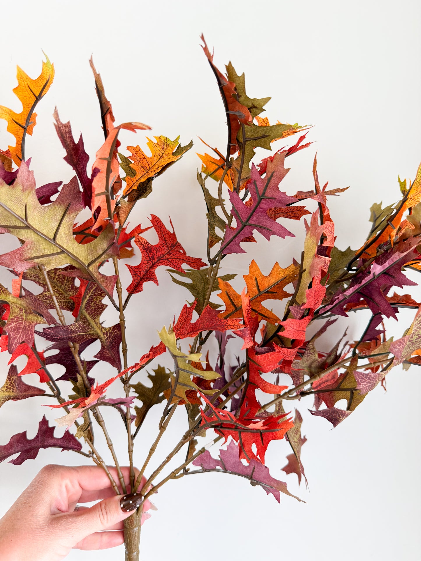 Oak Leaf Bush - 19”