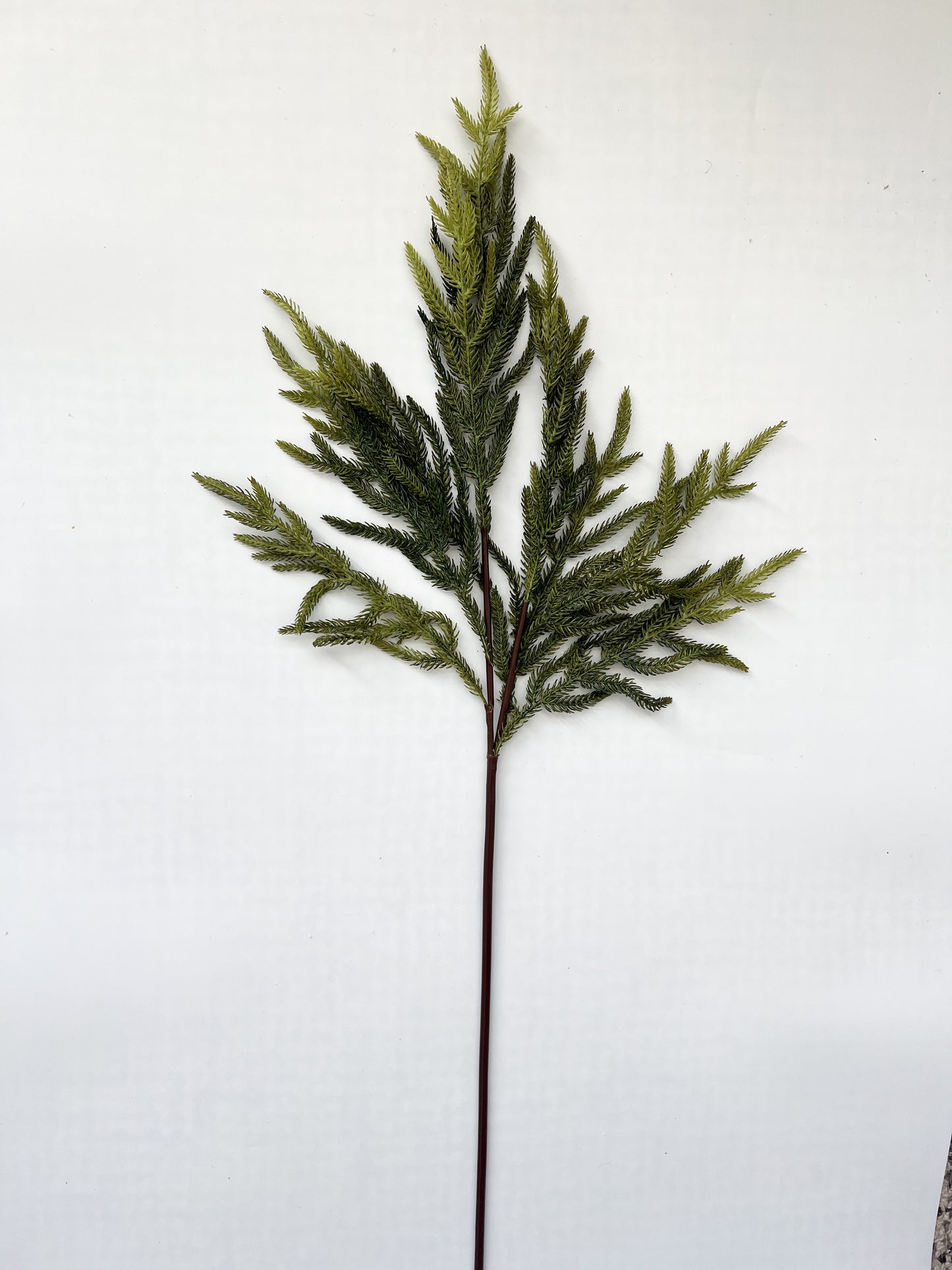 Fir Spray - 37"