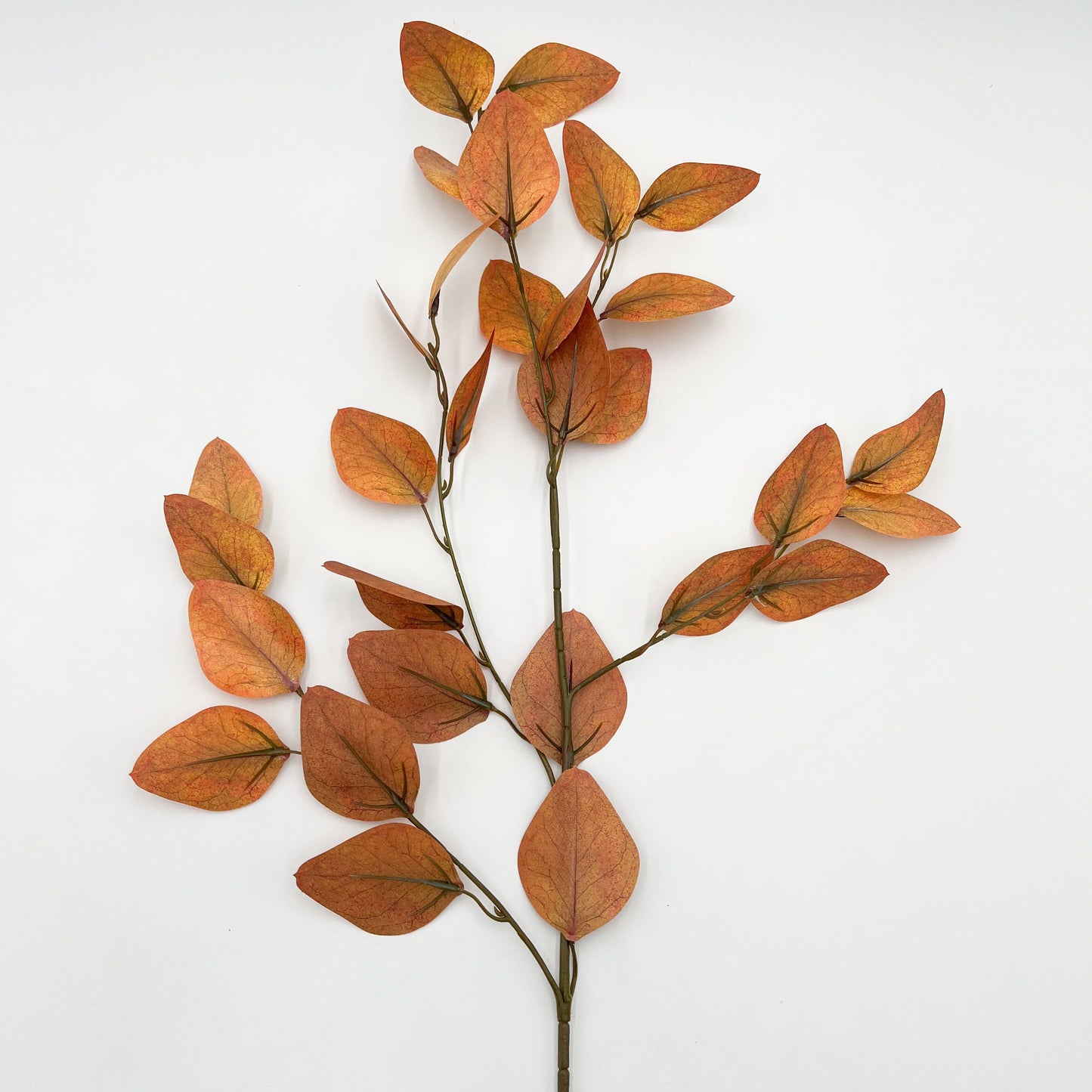 Eucalyptus Leaf Fall Spray