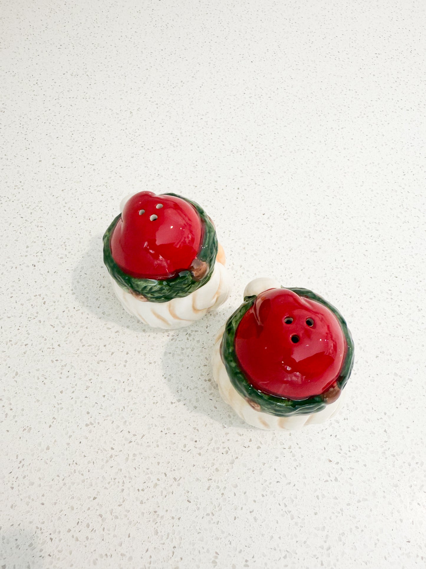 Santa Salt and Pepper Set