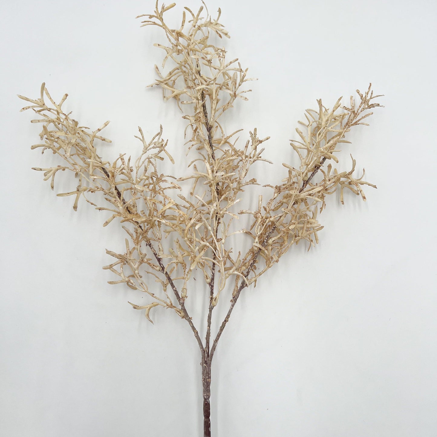 Fall Grass Spray