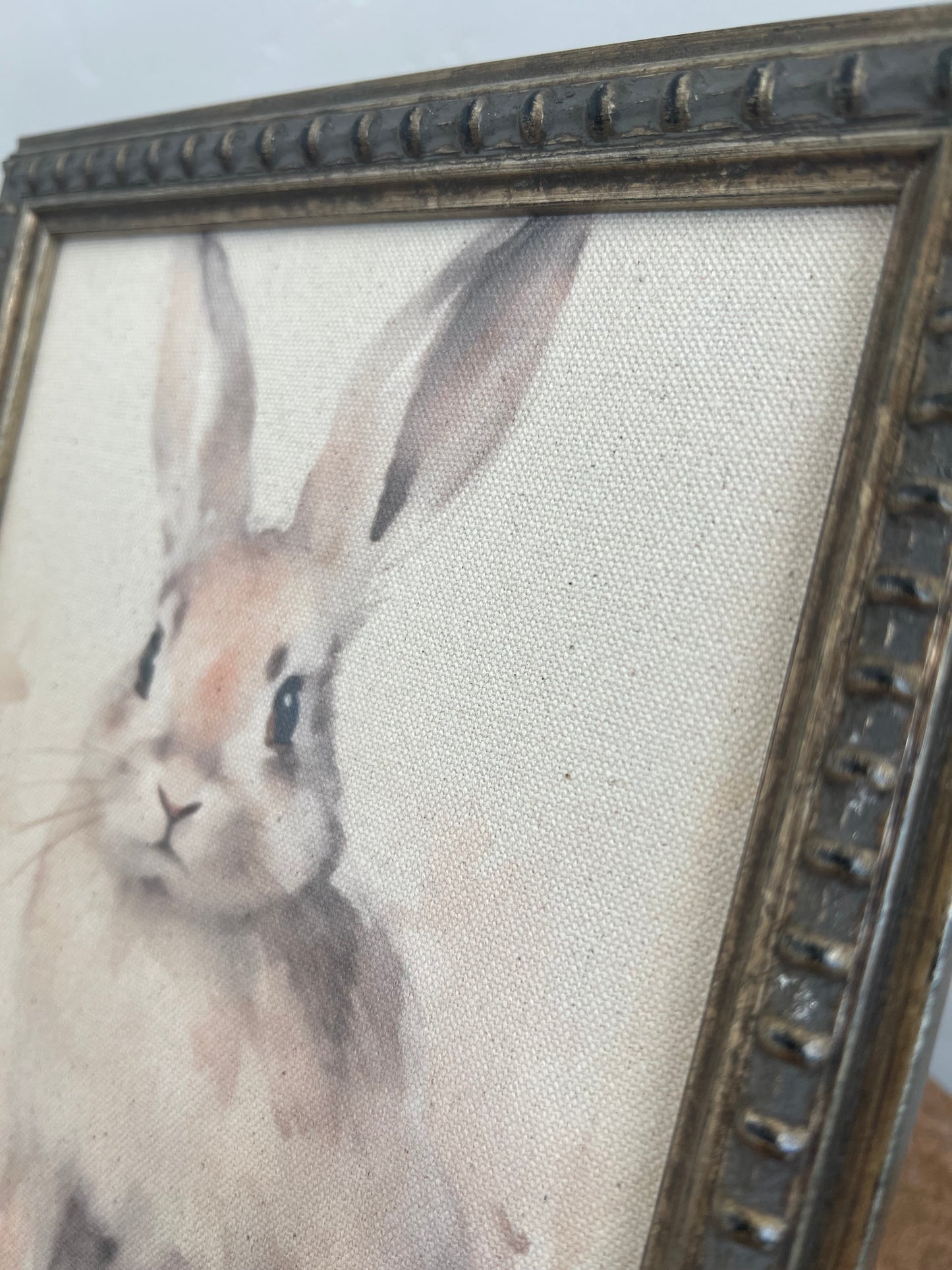 Vintage Bunny Canvas Art