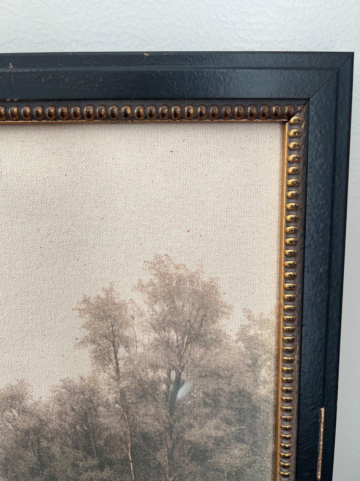Tree Scape Canvas Art