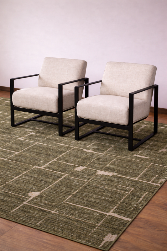 Rug - 6’7x9