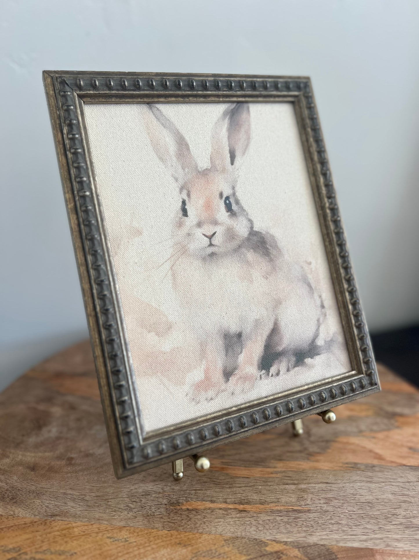 Vintage Bunny Canvas Art