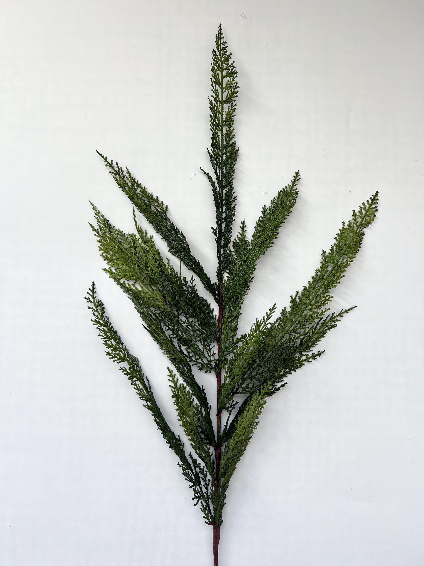 Cedar Spray - 40"