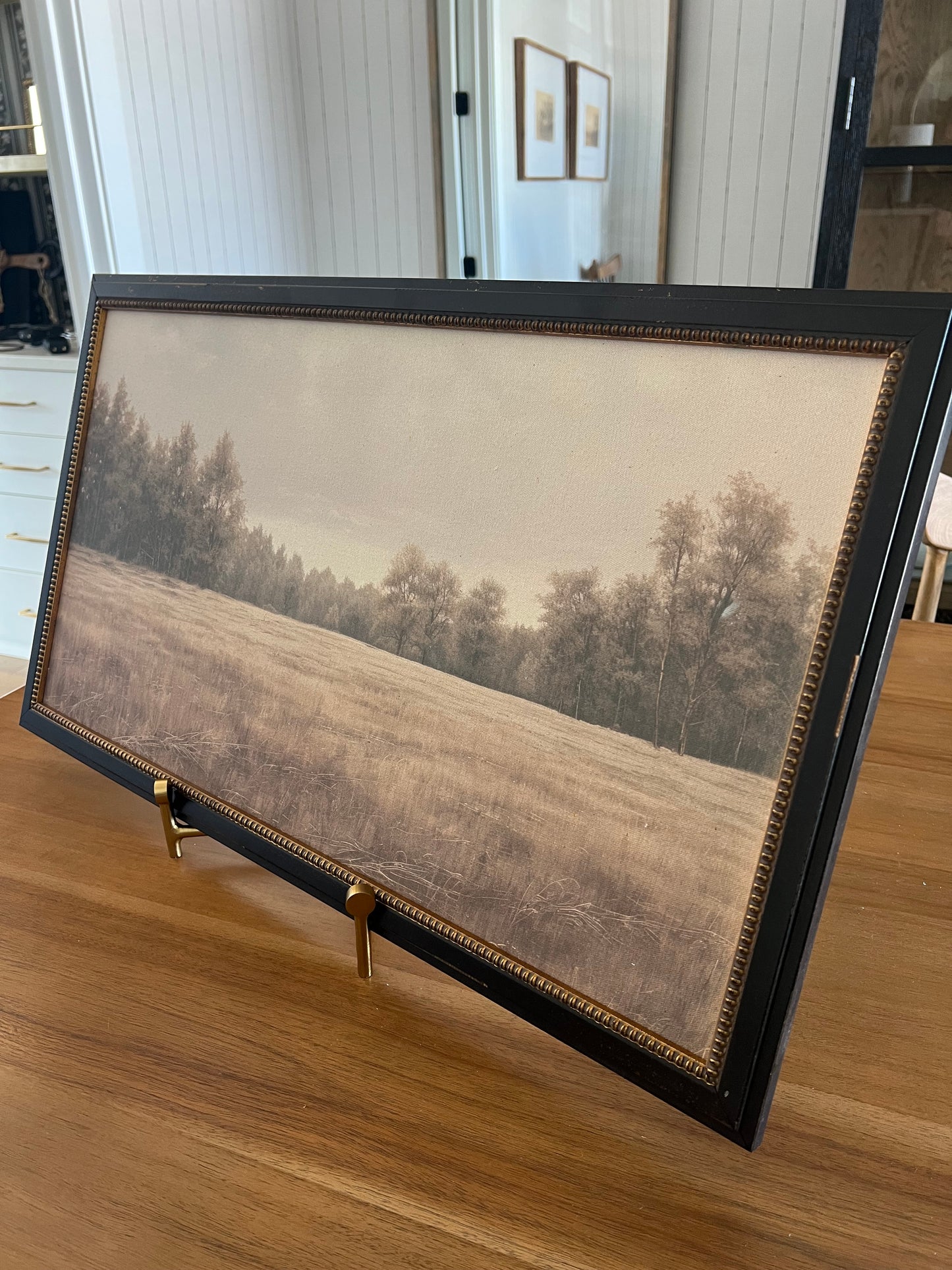 Tree Scape Canvas Art