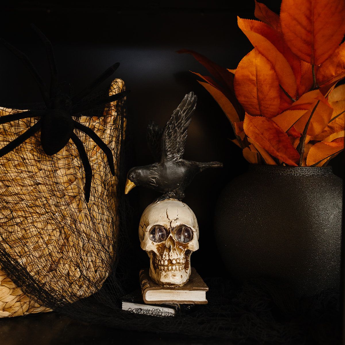 Skeleton on Book with LED Eyes - 2 Styles
