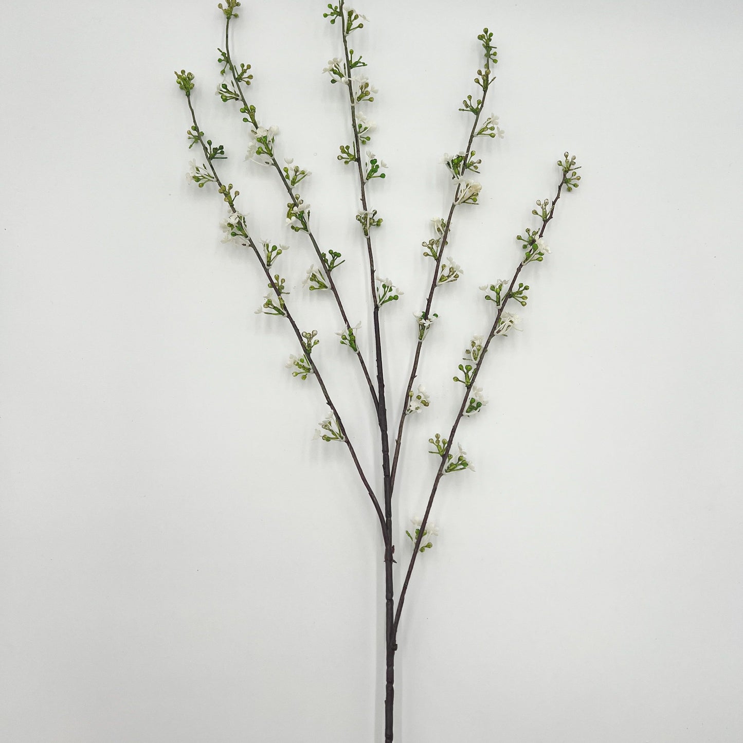 Hoary Willow Stem in White- 46"