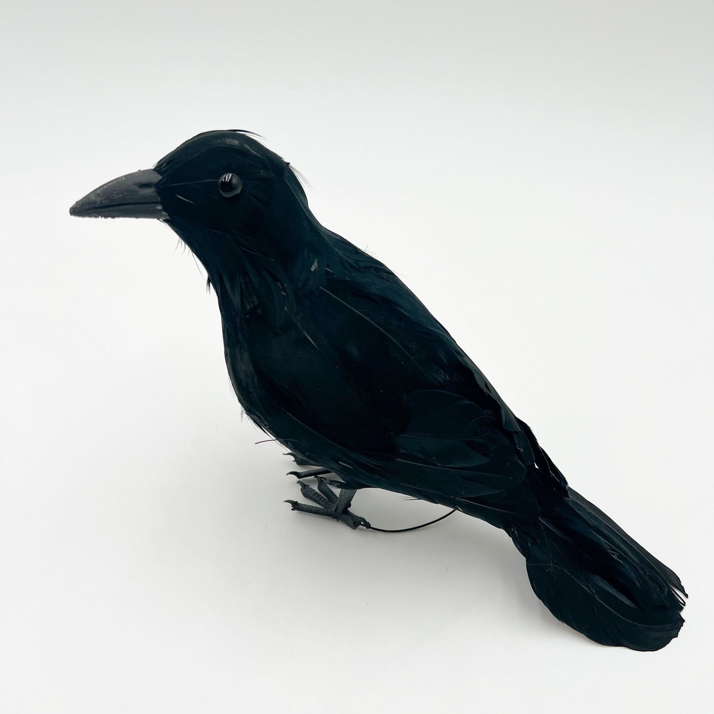Black Crow - 2 Sizes