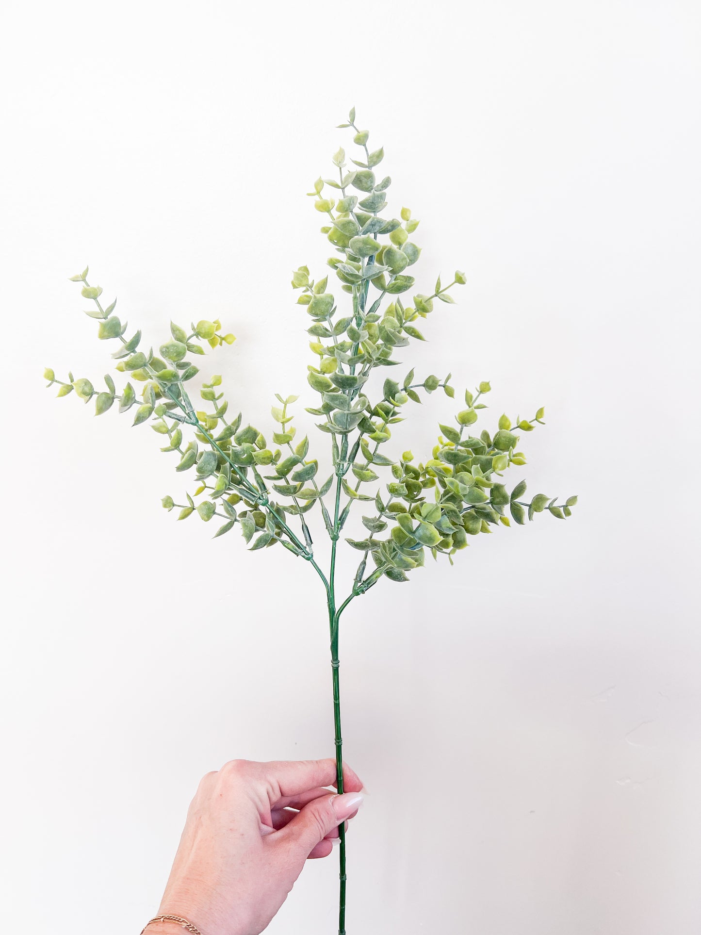 Soft Green Eucalyptus Stem - 26"