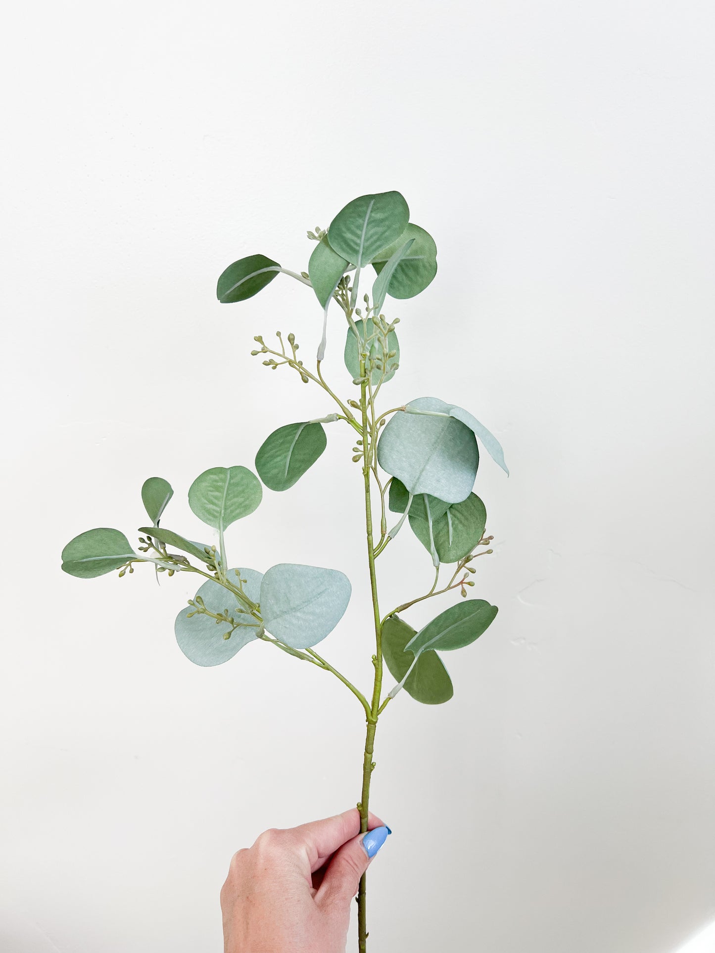 Blooming Eucalyptus Spray 23.5"