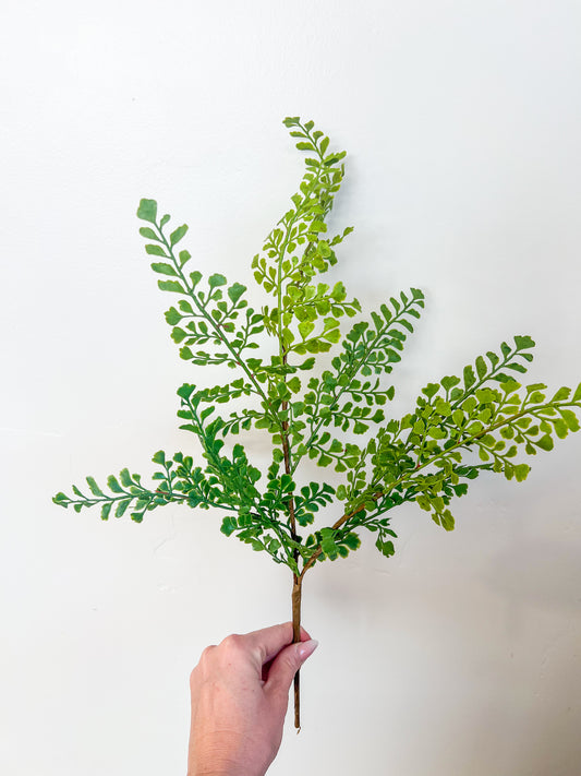 Maidenhair Fern Spray - 20"