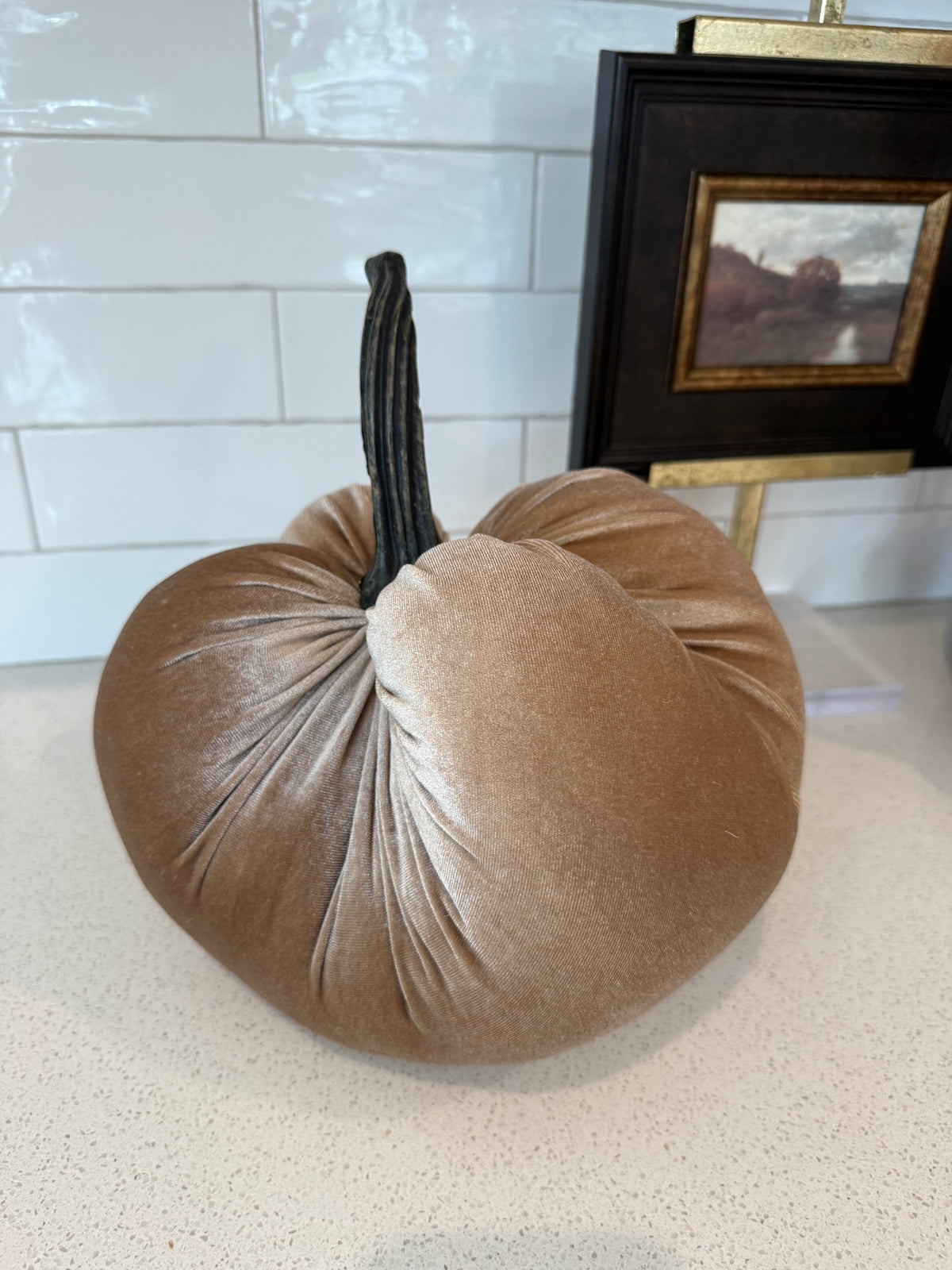 Cream Velvet Pumpkin - 2 Sizes