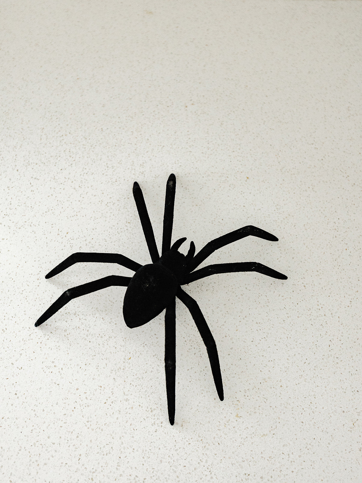 Large Spider With Clip
