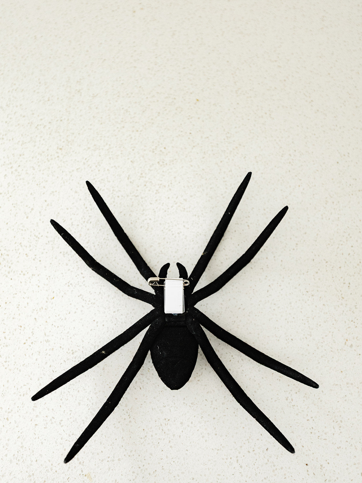 Large Spider With Clip