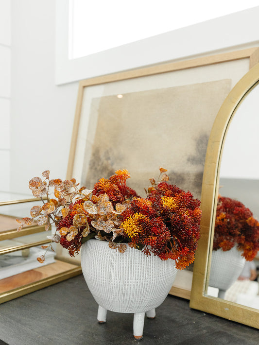 Skimmia Pick - 12.5"